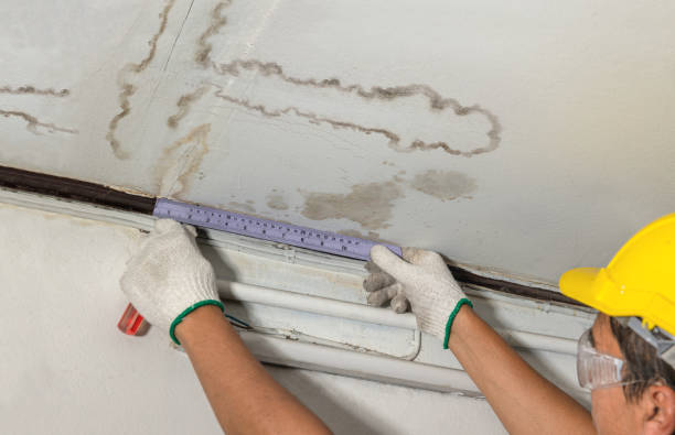 Reliable Mold Remediation contractor in Belmont, NH by Water Damage Irwin